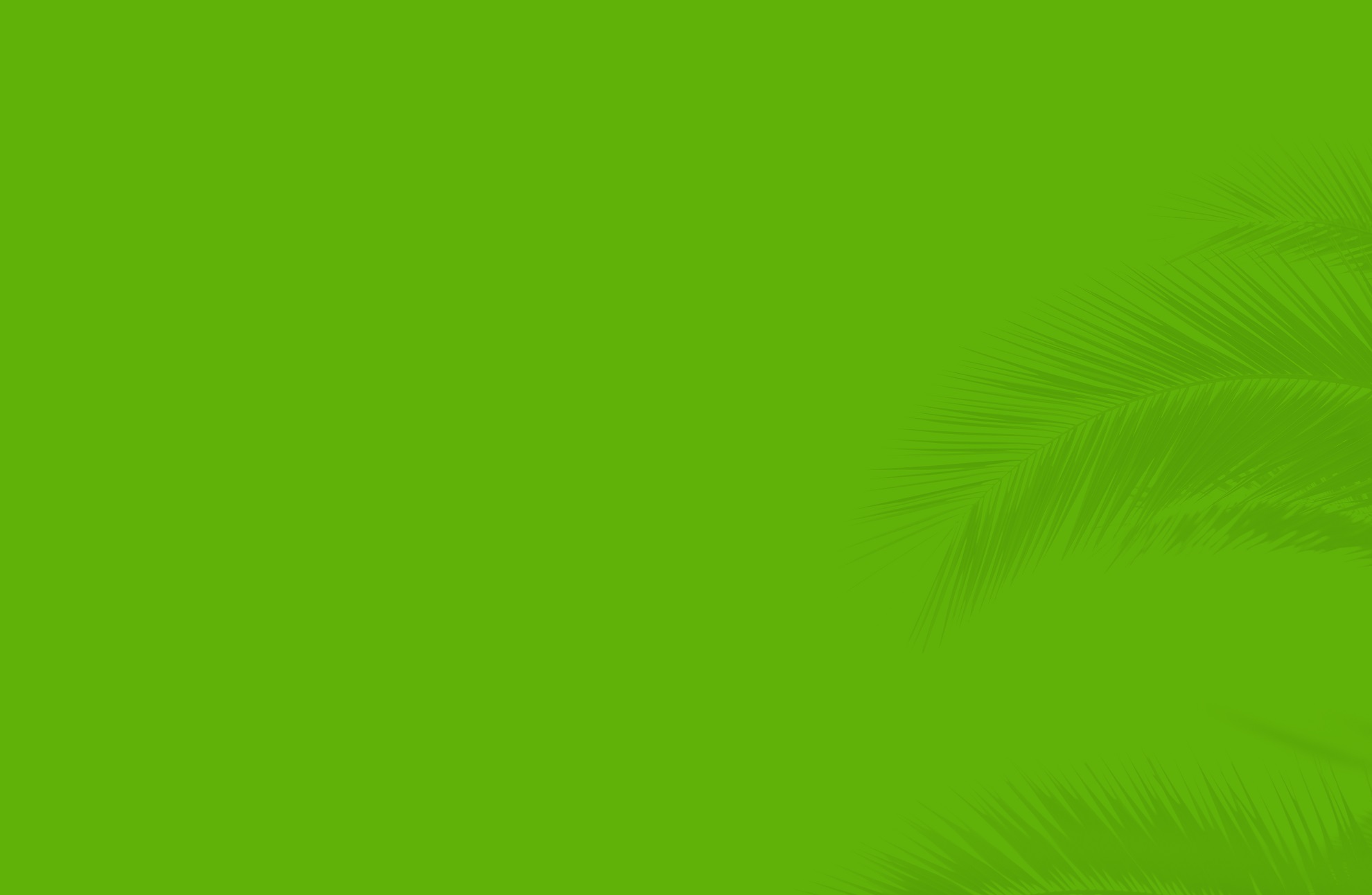BG_Green-Palms
